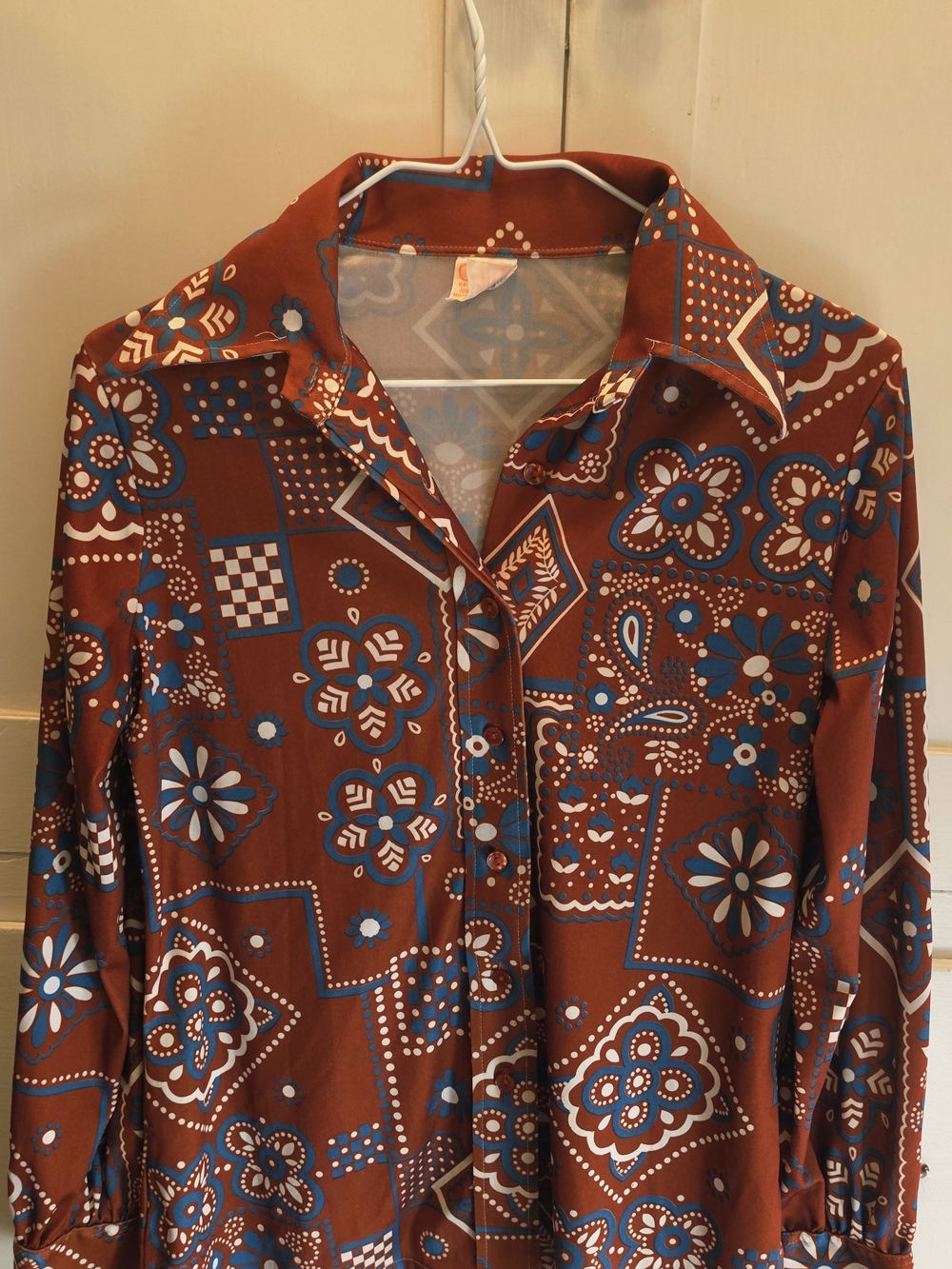 Vintage Catalina Rust Button-Down Shirt with Blue and White Floral Geo Print